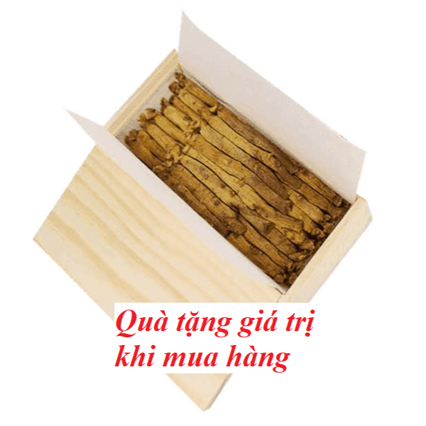 Hồng Sâm Củ khô hộp thiếc Daedong 600g 21- 40củ